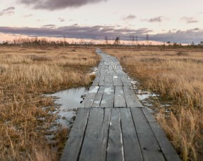 Ельня — белорусская Амазонка